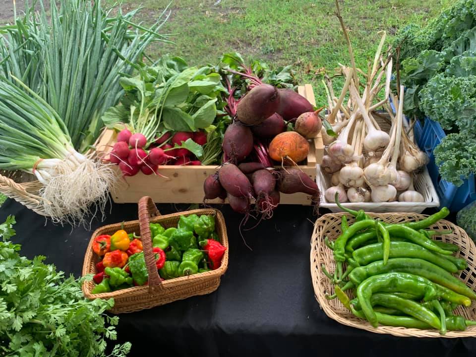 table at lowell farmers market